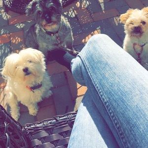 Meet your Posher, Jessica